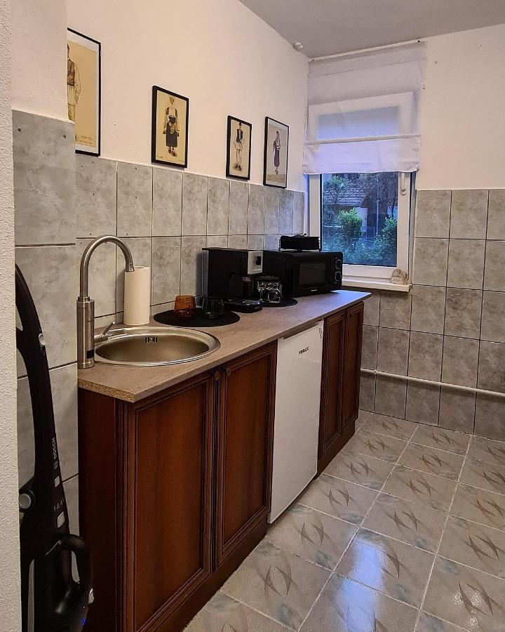 Apartmán La Tanti Coman Şugag Exteriér fotografie