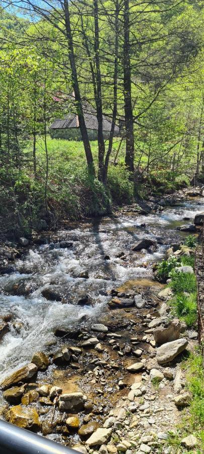 Apartmán La Tanti Coman Şugag Exteriér fotografie