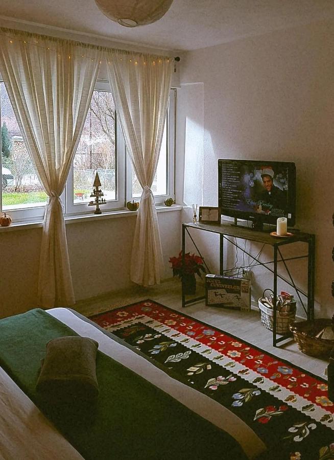 Apartmán La Tanti Coman Şugag Exteriér fotografie